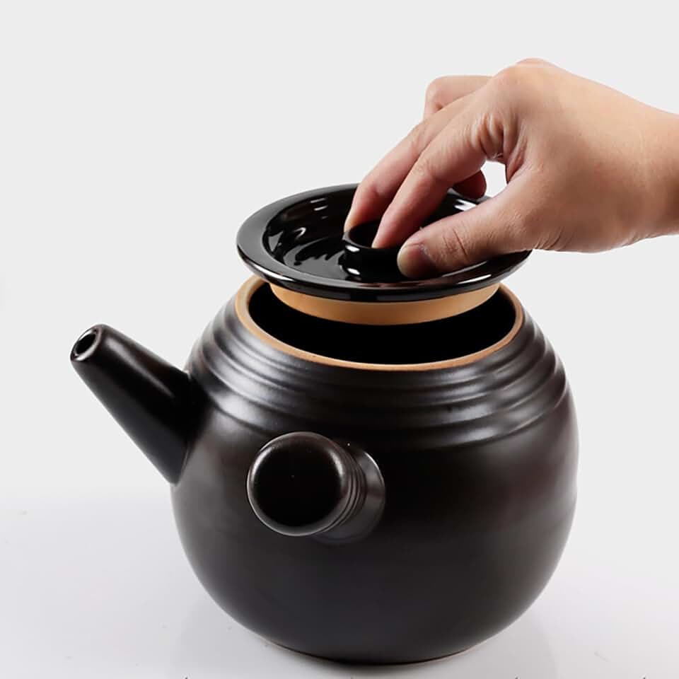 Ceramic Medicine Cooker and Tea Kettle, 1.6L