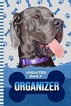 Daily Organizer with To-Do List and Notes