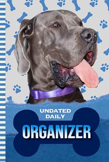 Daily Organizer with To-Do List and Notes