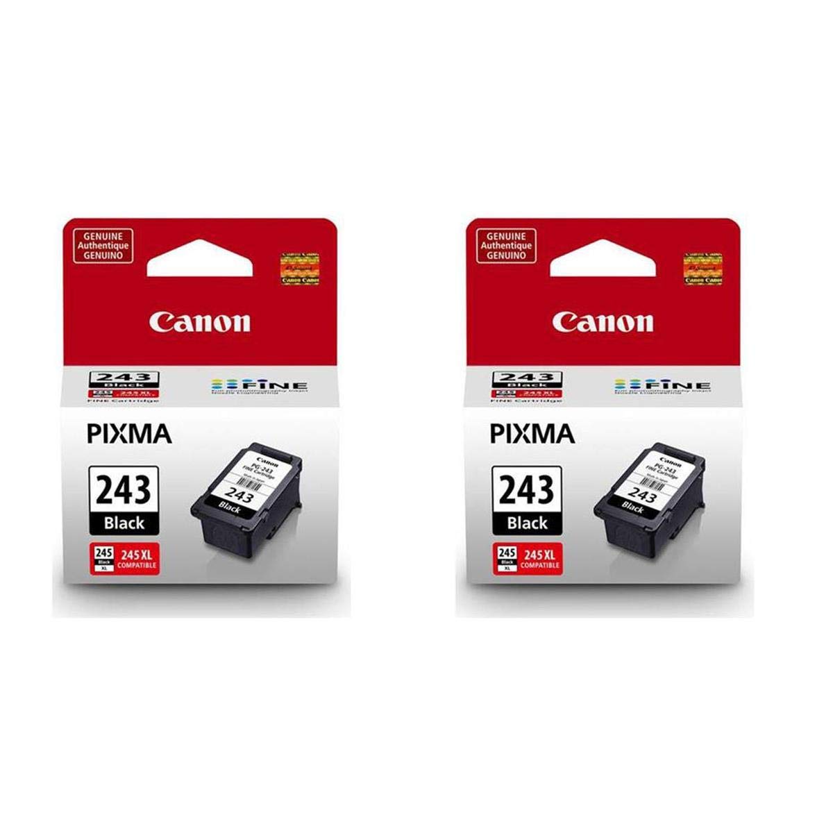2 Pack PG-243 Black Ink Cartridge for PIXMA IP, MX, MG, TS, and TR Series Printers - 5.6ml