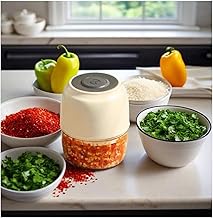 Portable 300ML Electric Food Chopper for Garlic and Spices