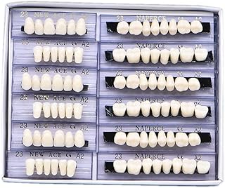 168-piece synthetic resin false teeth set