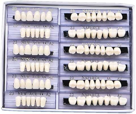 168-piece synthetic resin false teeth set