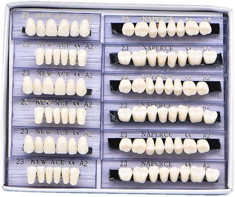 168-piece synthetic resin false teeth set