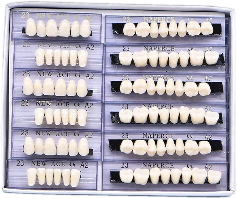 168-piece synthetic resin false teeth set