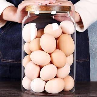 Large 1-Gallon Glass Egg Jar with Airtight Lid