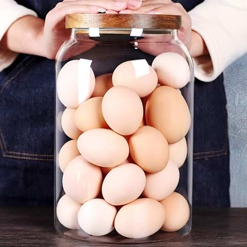 Large 1-Gallon Glass Egg Jar with Airtight Lid