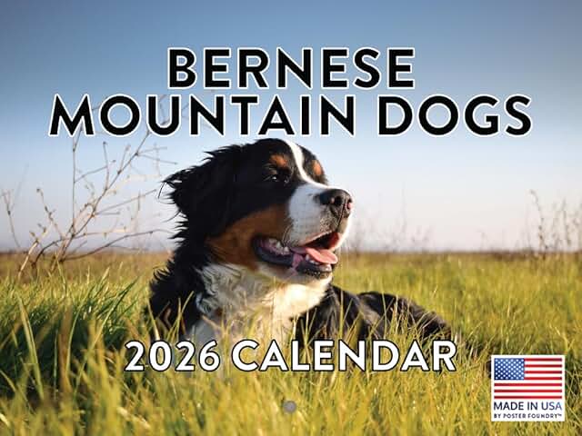 2026 Bernese Mountain Dog Monthly Wall Calendar