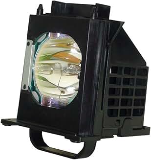 Rear Projection TV Replacement Lamp with Housing