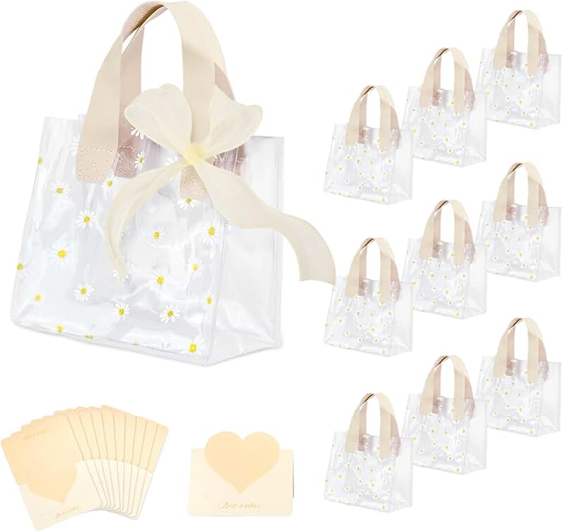 10-Pack Clear Gift Bags with Handles for Parties