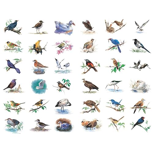Watercolor Bird Stickers for Journals and Crafts