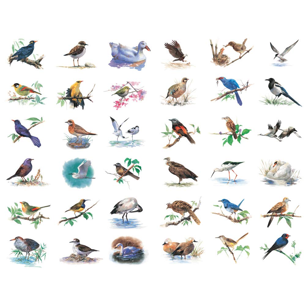 Watercolor Bird Stickers for Journals and Crafts