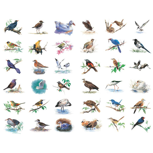 Watercolor Bird Stickers for Journals and Crafts