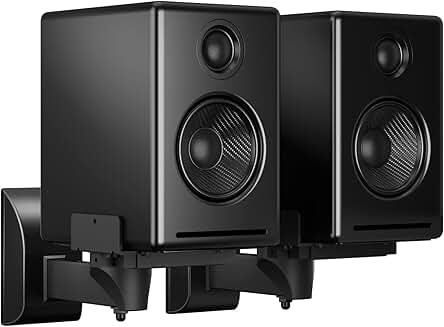 Dual Wall Mounts for Speakers, Black, 2 Pack