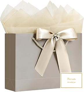Large gift bag with ribbon, cards, tissue paper