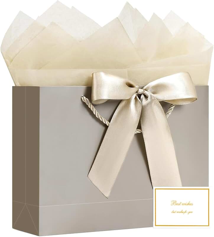 Large gift bag with ribbon, cards, tissue paper