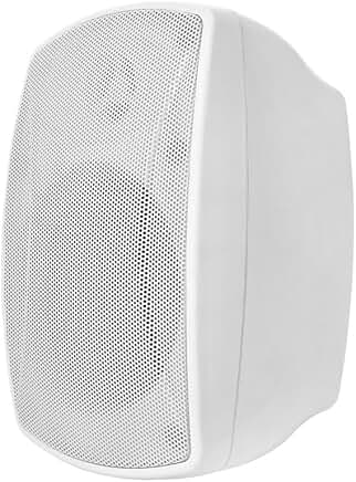 Weatherproof 4-inch 2-Way Indoor/Outdoor Speaker