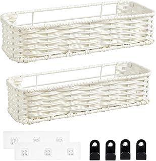 Hanging Wall Basket Organizer, 2-Pack