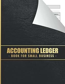Daily Accounting Ledger Book for Small Business