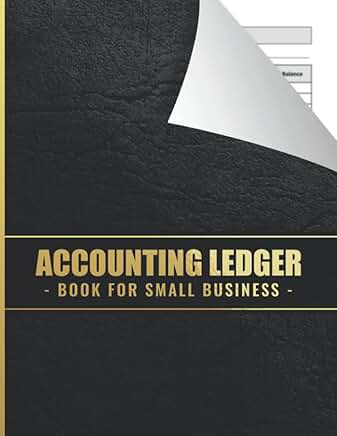 Daily Accounting Ledger Book for Small Business