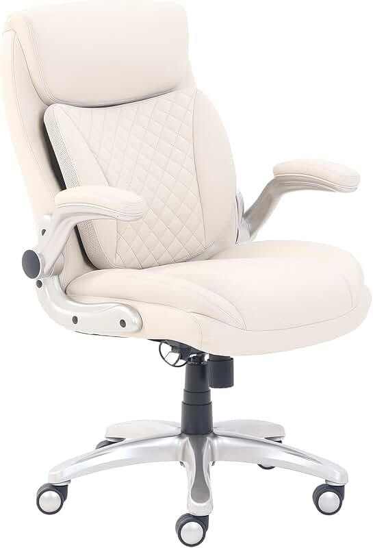 Ergonomic Office Desk Chair with Lumbar Support