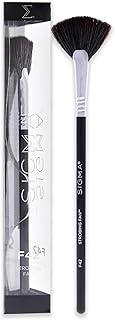 Strobing Fan Brush for Women