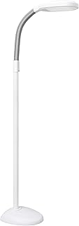 Full Spectrum LED Floor Lamp with Adjustable Brightness