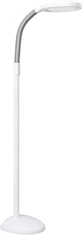 Full Spectrum LED Floor Lamp with Adjustable Brightness