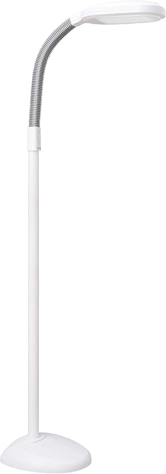Full Spectrum LED Floor Lamp with Adjustable Brightness