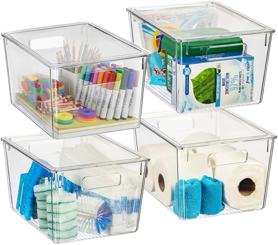 Large Clear Plastic Storage Bins with Lids