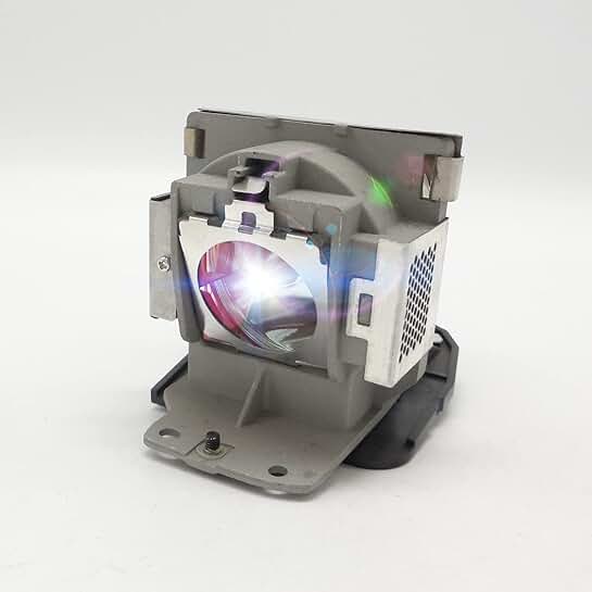 High-Quality 5J.07E01.001 Projector Lamp with Housing