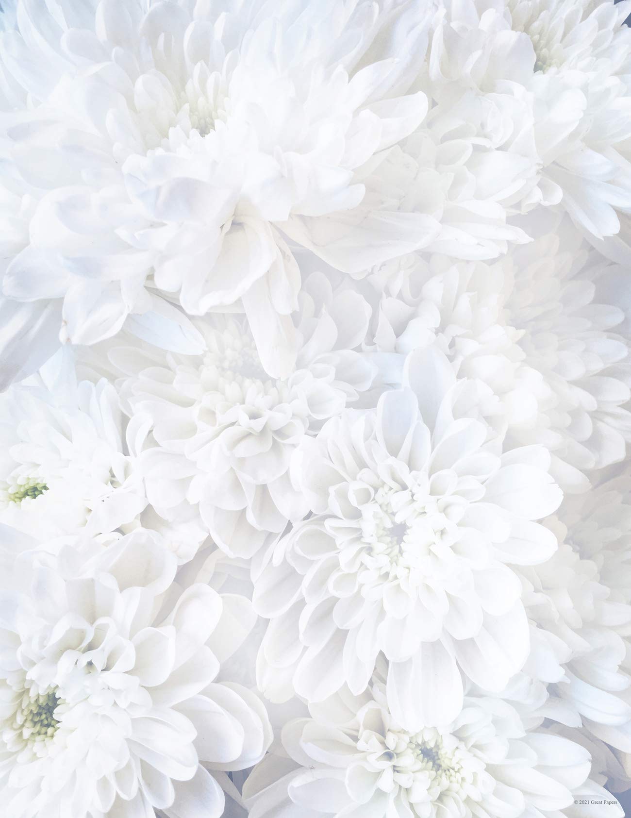 White soft petal letterhead stationery, 8.5" x 11", 80 sheets