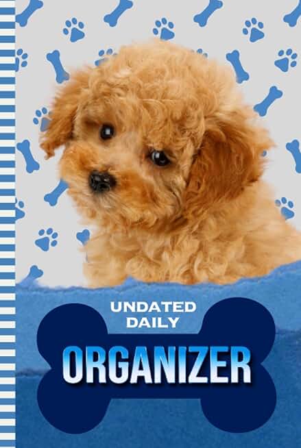 Daily Organizer with To-Do List and Notes