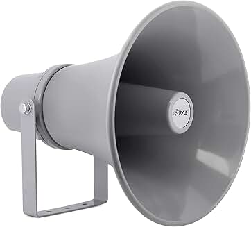 Indoor and outdoor 11-inch 30-watt loudspeaker