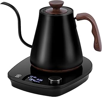 Electric Gooseneck Kettle with Temperature Control