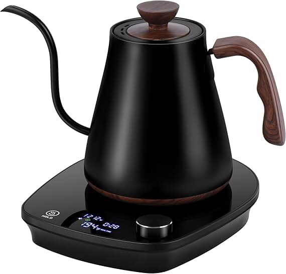 Electric Gooseneck Kettle with Temperature Control