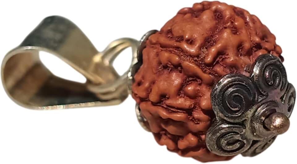 2 to 9 Mukhi Rudraksha Pendant for Meditation and Prayer