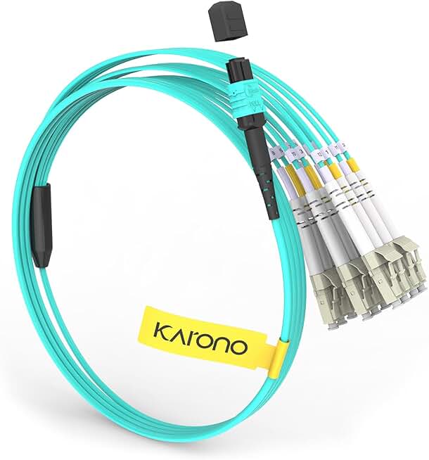 10ft MTP/MPO to 12 LC Multimode Fiber Optic Cable
