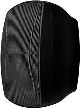 Weatherproof 4-inch 2-Way Indoor/Outdoor Speaker