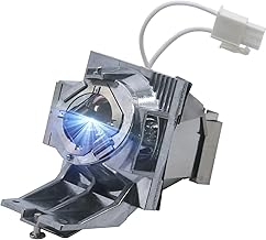 RLC-116 Replacement Projector Lamp with Housing