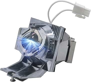 RLC-116 Replacement Projector Lamp with Housing