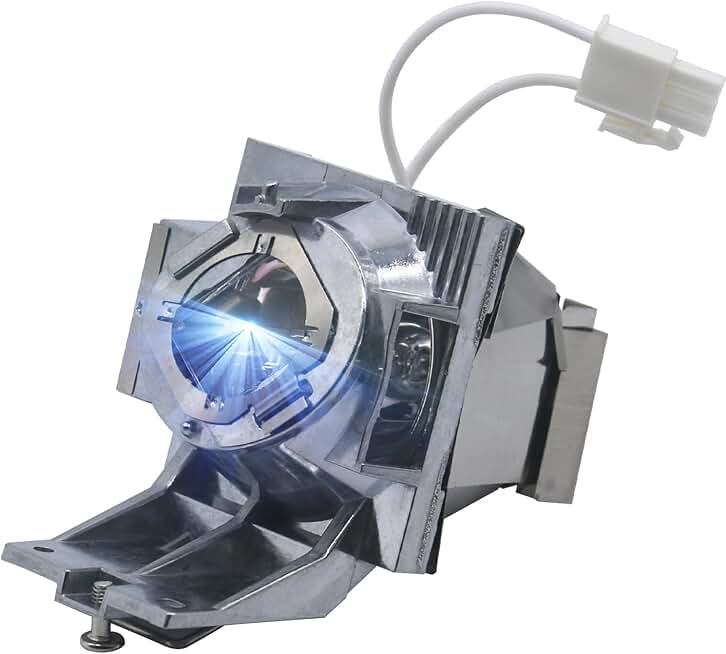 RLC-116 Replacement Projector Lamp with Housing