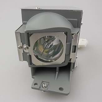 Replacement projector bulb with housing for specific models