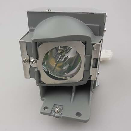 Replacement projector bulb with housing for specific models