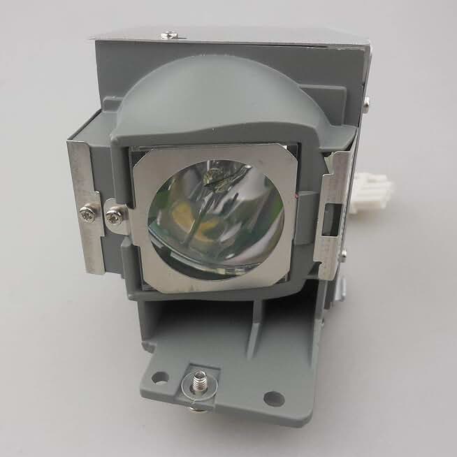 Replacement projector bulb with housing for specific models