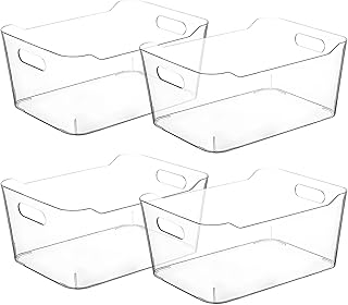 Small Clear Plastic Storage Bins for Organization