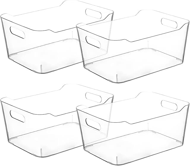Small Clear Plastic Storage Bins for Organization