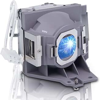 Replacement projector lamp bulb for select BenQ models