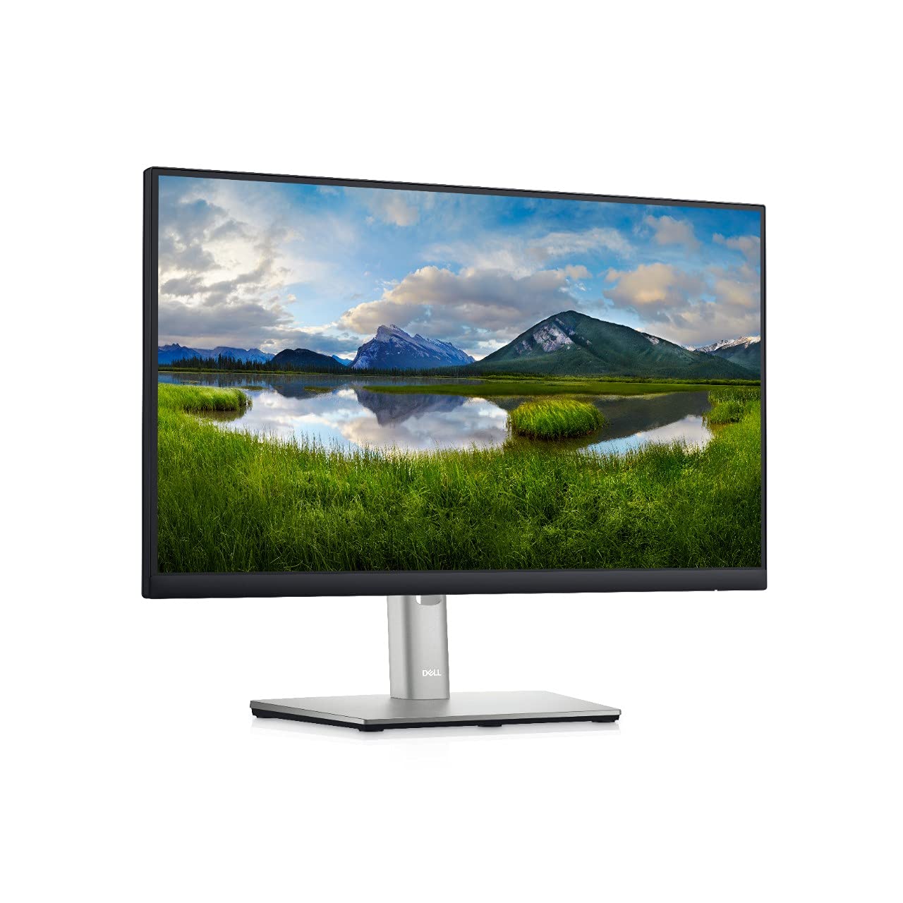 22 Monitor - P2222H - Full HD 1080p, IPS Technology