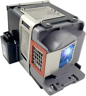 Replacement projector lamp with housing for specific models